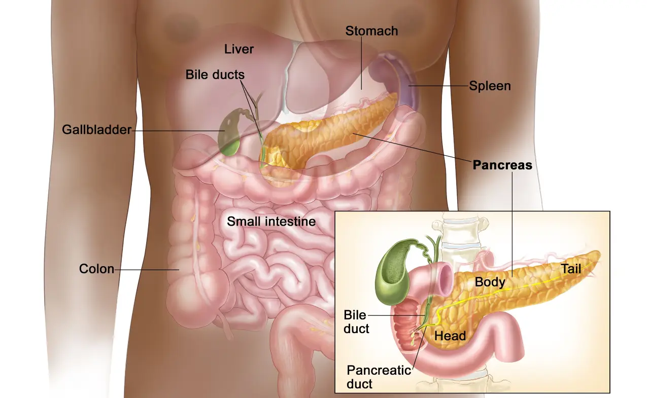 Neuroendocrine Pancreatic Cancer