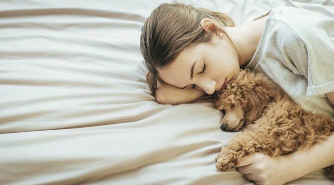 My Dog Has Cancer When Do I Put Him Down? Causes and Risk Factors