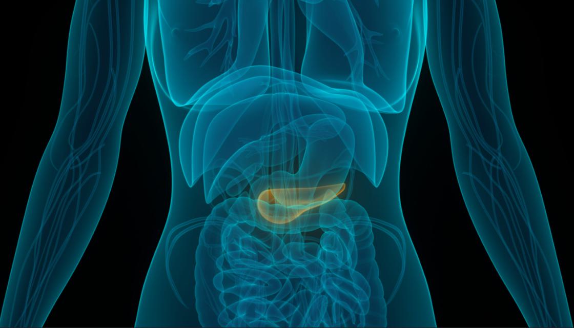How Do You Test for Pancreatic Cancer? Causes and Risk Factors